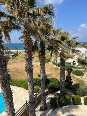 Sky Villa Paphos Extérieur photo